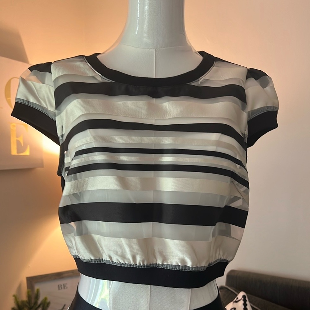 Bebe Black and White Fitted Crop Blouse